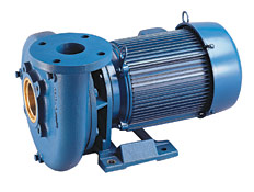 Aurora™ 340 Series Single Stage End Suction Commercial Pumps