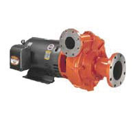 Berkeley Brand Pumps