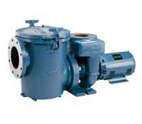 CSP Series™ Commercial Self-Priming Pump